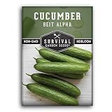 Photo Survival Garden Seeds - Beit Alpha Cucumber Seed for Planting - Pack with Instructions to Plant and Grow Smooth Green Burpless Cucumbers in Your Home Vegetable Garden - Non-GMO Heirloom Variety, best price $4.99, bestseller 2024