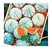David's Garden Seeds Fruit Melon Savor (Orange) 25 Non-GMO, Hybrid Seeds new 2022