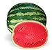 Crimson Sweet Heirloom Watermelon Seeds new 2024