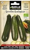Foto Bio Samen - Zucchini Black Beauty (24-32 Samen - Bio), bester Preis 4,83 € (24,15 € / kg), Bestseller 2024