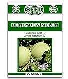 Photo Honeydew Melon Seeds - 50 Seeds Non-GMO, best price , bestseller 2024