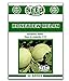 Honeydew Melon Seeds - 50 Seeds Non-GMO new 2024