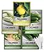 Cucumber Seeds for Planting Outdoors 5 Variety Pack Armenian, Boston Pickling, Lemon, Spacemaster, Straight Eight Veggie Seeds by Gardeners Basics new 2023