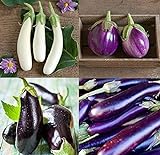 Photo David's Garden Seeds Collection Set Eggplant 4432 (Multi) 4 Varieties 200 Non-GMO, Open Pollinated Seeds, best price $16.95 ($4.24 / Count), bestseller 2024