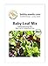 BIO-Salatsamen Baby Leaf Pflücksalat Portion neu 2023
