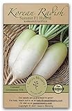 Photo Gaea's Blessing Seeds - Daikon Radish Seeds - Summit F1 Hybrid - Korean Type - Heirloom Non-GMO Seeds with Easy to Follow Planting Instructions - 94% Germination Rate, best price $5.99, bestseller 2024