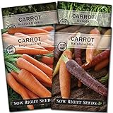 Photo Sow Right Seeds - Carrot Seed Collection for Planting - Rainbow, Nantes, Imperator, and Kuroda Varieties - Non-GMO Heirloom Seeds to Plant a Home Vegetable Garden - Great Gardening Gift, best price $9.99, bestseller 2024