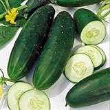 Photo Cucumber, Straight Eight Cucumber Seeds, Heirloom, 25 Seeds, Great for Salads/Snack, best price $1.99 ($0.08 / Count), bestseller 2024