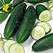 Cucumber, Straight Eight Cucumber Seeds, Heirloom, 25 Seeds, Great for Salads/Snack new 2024