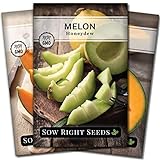 Photo Sow Right Seeds - Cantaloupe Fruit Seed Collection for Planting - Individual Packets Honey Rock, Hales Best and Honeydew Melon, Non-GMO Heirloom Seeds to Plant an Outdoor Home Vegetable Garden…, best price $9.99, bestseller 2024