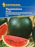 Foto Melonen Wassermelone Red Star F1, bester Preis 5,24 € (5,24 € / Stück), Bestseller 2024
