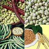 Photo David's Garden Seeds Collection Set Southern Pea (Cowpea) 3333 (Multi) 4 Varieties 400 Non-GMO, Open Pollinated Seeds, best price $16.95 ($4.24 / Count), bestseller 2024
