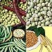 David's Garden Seeds Collection Set Southern Pea (Cowpea) 3333 (Multi) 4 Varieties 400 Non-GMO, Open Pollinated Seeds new 2024