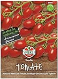 Foto Sperli Premium Tomaten Samen Ravello ; Mini San Marzano ; Cherrytomaten ; Tomaten Saatgut, bester Preis 5,77 €, Bestseller 2024