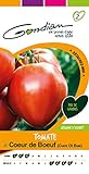 Photo Gondian 154250 Semences-Tomate Coeur de Boeuf (Cuor Di Bue) -CP 2, Rouge, 1x8.1x16 cm, meilleur prix 3,78 €, best-seller 2024