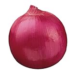 Photo Burpee Red Creole Onion Seeds 300 seeds, best price $6.56, bestseller 2024