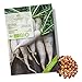 BIO Rettich Samen (Japanischer Daikon) - Rettich Saatgut aus biologischem Anbau ideal für die Anzucht im Garten, Balkon oder Terrasse neu 2024