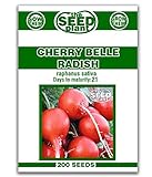 Photo Cherry Belle Radish Seeds - 200 Seeds Non-GMO, best price $1.59, bestseller 2024