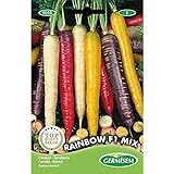 Foto Germisem Rainbow F1 Mix Semillas de Zanahoria 1 g, EC9025, mejor precio 3,68 €, éxito de ventas 2024