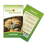 Foto Muskatkürbis Muscade de Provence Samen - Cucurbita moschata - Muskatkürbissamen - Gemüsesamen - Saatgut für 7 Pflanzen, bester Preis 2,19 € (0,31 € / stück), Bestseller 2024