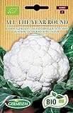 Photo Germisem Bio Graines Chou-fleur Merveille de toutes saisons ALL THE YEAR ROUND, meilleur prix 6,76 €, best-seller 2024