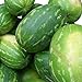 Rießen Wassermelone 10 Korn (Rar) >>>Fruchtgewicht von 12 bis 16 kg<<< neu 2024