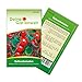 Balkontomaten Balkonzauber Samen - Solanum lycopersicum - Balkontomatensamen - Gemüsesamen - Saatgut für 15 Pflanzen neu 2024