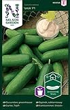 Foto Minigurken Samen Iznik F1 - Nelson Garden Gemüsesamen - Snackgurken Samen Saatgut (4 Stück) (Gurke, Topf-, Iznik F1, Einzelpackung), bester Preis 4,95 €, Bestseller 2024