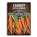 Survival Garden Seeds - Little Fingers Carrot Seed for Planting - Packet with Instructions to Plant and Grow Delicious Baby Carrots in Your Home Vegetable Garden - Non-GMO Heirloom Variety - 1 Pack new 2024