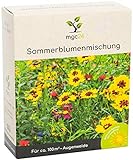 Foto mgc24® Sommerblumenmischung - Blumenmischung für nützliche Insekten ein- & mehrjährig 100g für 100m², bester Preis 5,99 € (59,90 € / kg), Bestseller 2024