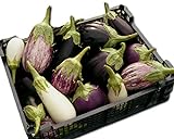 Photo Eggplant Garden Blend 325 Eggplant Seeds +1 Plant Marker - Excellent Varieties, best price $5.00, bestseller 2024