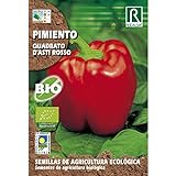 Foto Semillas ecológicas de pimiento quadrato d'asti rosso, mejor precio 1,85 €, éxito de ventas 2024