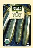 Photo Seeds of Change 5800 Dark Star Zucchinie, Green, best price $7.99, bestseller 2024