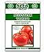 Beefsteak Tomato Seeds - 250 Seeds Non-GMO new 2023