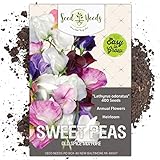 Photo Seed Needs, Old Spice Sweet Pea (Lathyrus odoratus) Bulk Pack of 400 Seeds, best price $8.99 ($0.02 / Count), bestseller 2024