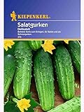 Foto Kiepenkerl Salatgurke DelikateÃŸ, bester Preis 1,82 €, Bestseller 2024