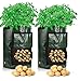 Cefrank Kartoffelzuchtbeutel, 35 x 45 cm, strapazierfähiger Stoff, 10 Gallonen Pflanztöpfe mit Klappe und Griff, 55 Liter, 2 Stück neu 2023