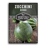 Photo Survival Garden Seeds - Round Zucchini Seed for Planting - Pack with Instructions to Plant and Grow Small Green Zucchinis in Your Home Vegetable Garden - Non-GMO Heirloom Variety, best price $4.99, bestseller 2024