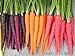 Rainbow Blend Carrot Heirloom Seeds - B258 (150 Seeds, 1/4 Gram) new 2023
