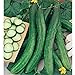 Cetriolo Chinese Slangen Cucumbers Seeds (20+ Seeds) | Non GMO | Vegetable Fruit Herb Flower Seeds for Planting | Home Garden Greenhouse Pack new 2023