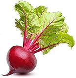 Photo Ruby Queen Beet Seeds | Beet Seeds for Planting Outdoor Gardens | Heirloom & Non-GMO | Planting Instructions Included, best price $6.95 ($32.94 / Ounce), bestseller 2024