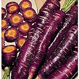 Photo Purple Dragon Carrots Seeds (25+ Seeds)(More Heirloom, Organic, Non GMO, Vegetable, Fruit, Herb, Flower Garden Seeds (25+ Seeds) at Seed King Express), best price $4.69, bestseller 2024