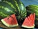 Watermelon, Jubilee , Heirloom, 20 Seeds, Large, Sweet N Delicious new 2022