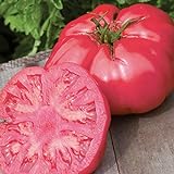Photo Burpee 'Caspian Pink' Heirloom | Large Pink Beefsteak Slicing Tomato | 30 Seeds, best price $6.13 ($0.20 / Count), bestseller 2024