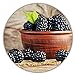 Riesen Brombeeren - Ca. 50 Samen - Gesunde & Vitaminreiche Früchte neu 2023