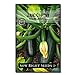 Sow Right Seeds - Black Beauty Zucchini Seed for Planting - Non-GMO Heirloom Packet with Instructions to Plant a Home Vegetable Garden - Great Gardening Gift (1) new 2024