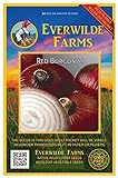 Photo Everwilde Farms - 500 Red Burgundy Onion Seeds - Gold Vault Jumbo Seed Packet, best price $2.98, bestseller 2024