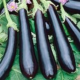 Photo Seeds Eggplant Aubergine Long Pop Black Vegetable Heirloom for Planting Non GMO, best price $8.99, bestseller 2024