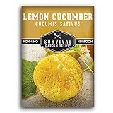 Photo Survival Garden Seeds - Lemon Cucumber Seed for Planting - Packet with Instructions to Plant and Grow Little Yellow Cucumbers in Your Home Vegetable Garden - Non-GMO Heirloom Variety, best price $4.99, bestseller 2024