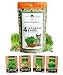 3200+ Cat Grass Seeds - Catnip Seeds, Alfalfa Seeds, Oat Seeds, and Oat & Barley Mix - Grow Cat Grass for Indoor Cats - Cat Grass Seeds Bulk - Refill Cat Growing Grass Kit - Heirloom Herb Seed new 2024